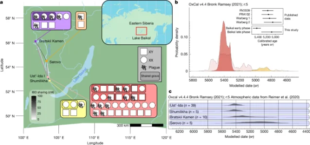 Spatiotemporal distribution of ancient humans and plague-positive individuals across four Lake Baikal cemeteries, showing the two outbreak phases separated by ~4–6 centuries