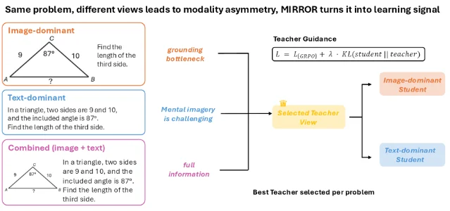 MIRROR 通过强视图向弱视图迁移推理的整体框架