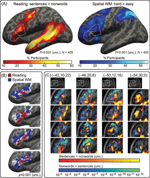 Functional maps of language and task-control regions