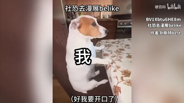 二创画面:小狗身上打着一个「我」字,画面上方写着「社恐去漫展belike」,右侧署着 BV 号和作者名