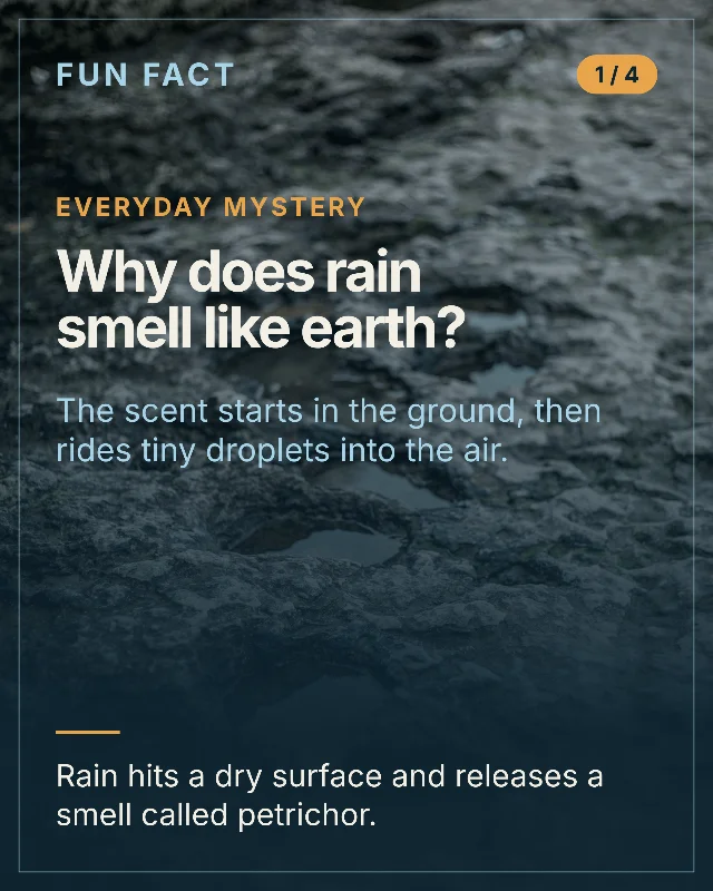 Why Does Rain Smell Like Earth?