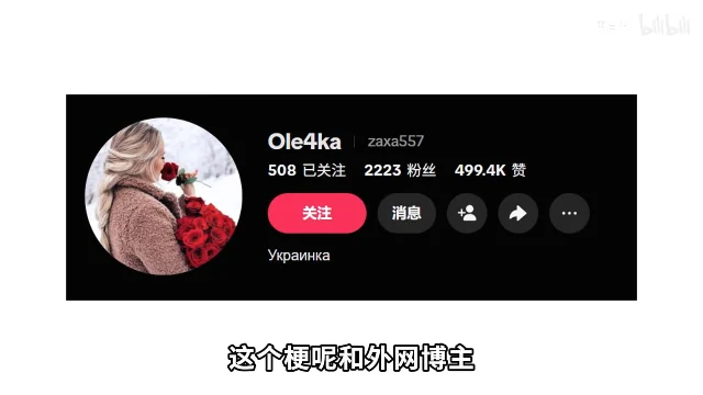 视频里打出的博主主页:左侧是圆形头像,右侧是账号名 Ole4ka 和 ID zaxa557,下面一行是「508 已关注」「2223 粉丝」「499.4K 赞」,最下面一行写着 Українка