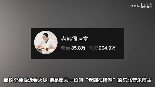 黑底白字的主页卡片：圆形头像里是一位戴眼镜的男子，右侧一行大字写着「老韩很哇塞」，下面两行是「粉丝 35.8万」「获赞 204.9万」
