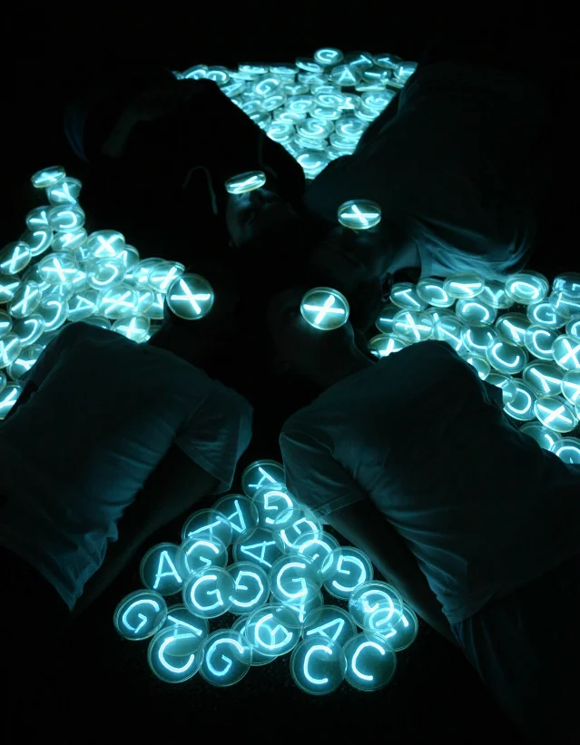 Hunter Cole, X Chromosome, a photograph made by the light of bioluminescent bacteria, with four people forming the shape of an X among glowing petri dishes
