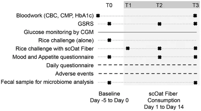 Study assessment schedule showing four time points (T0 baseline through T3 end-of-intervention) and when bloodwork, GSRS questionnaires, CGM glucose monitoring, rice challenges, mood questionnaires, adverse event tracking, and fecal samples were collected
