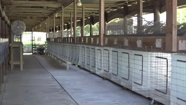 Empty livestock pens at the Story County fairgrounds