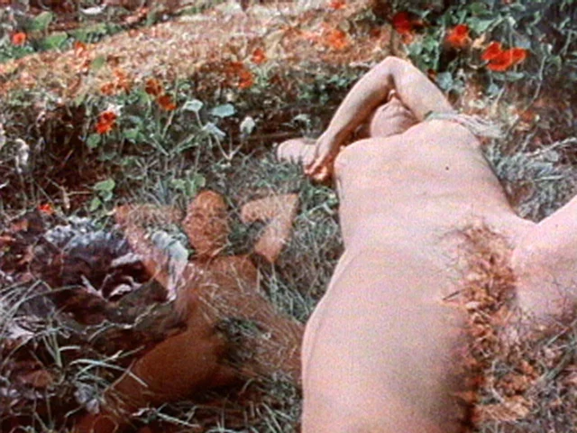 《Dyketactics》(1974)的一帧:身体躺在花草之间,皮肤与植物占据同一片画面