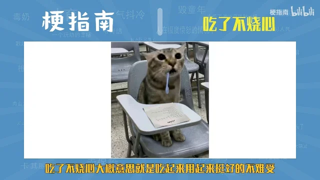 梗指南的画面：一只虎斑猫叼着体温计坐在椅子上，画面下方是黄色字幕「吃了不烧心大概意思就是吃起来用起来挺好的不难受」
