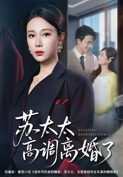 苏太太高调离婚了 poster — female lead in black suit, urban office setting
