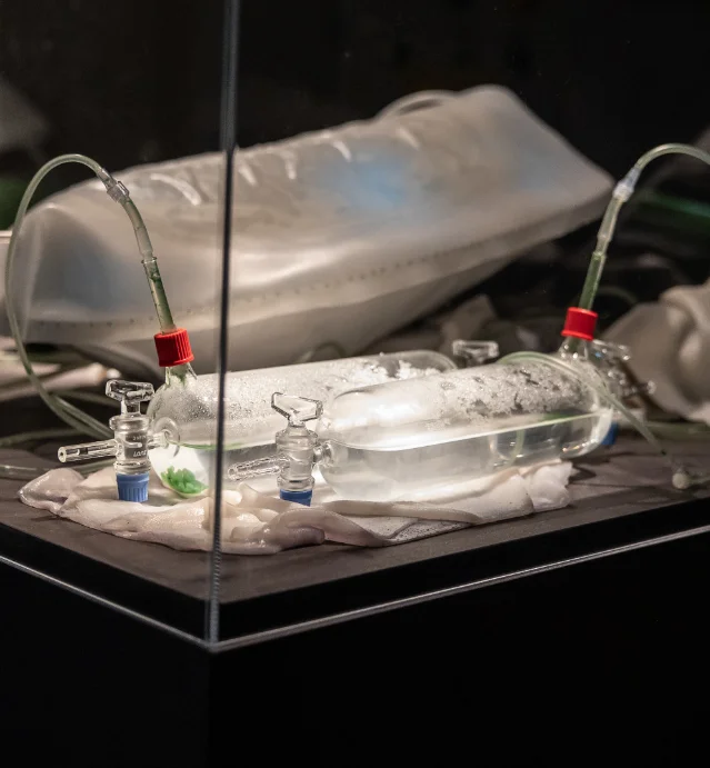 Two linked glass bioreactor vessels with tubing and stopcocks sit under glass lighting