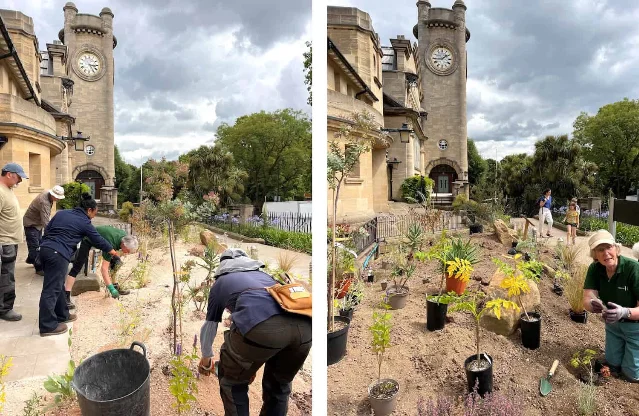 Volunteers plant a xerophytic garden beside the Horniman's clock tower.