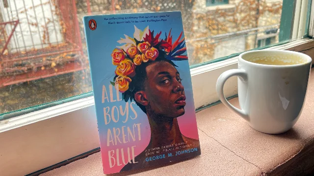 All Boys Aren't Blue propped against a window