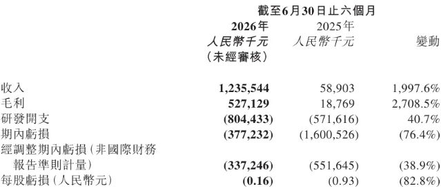 壁仞科技中期业绩概要的财务数据表格