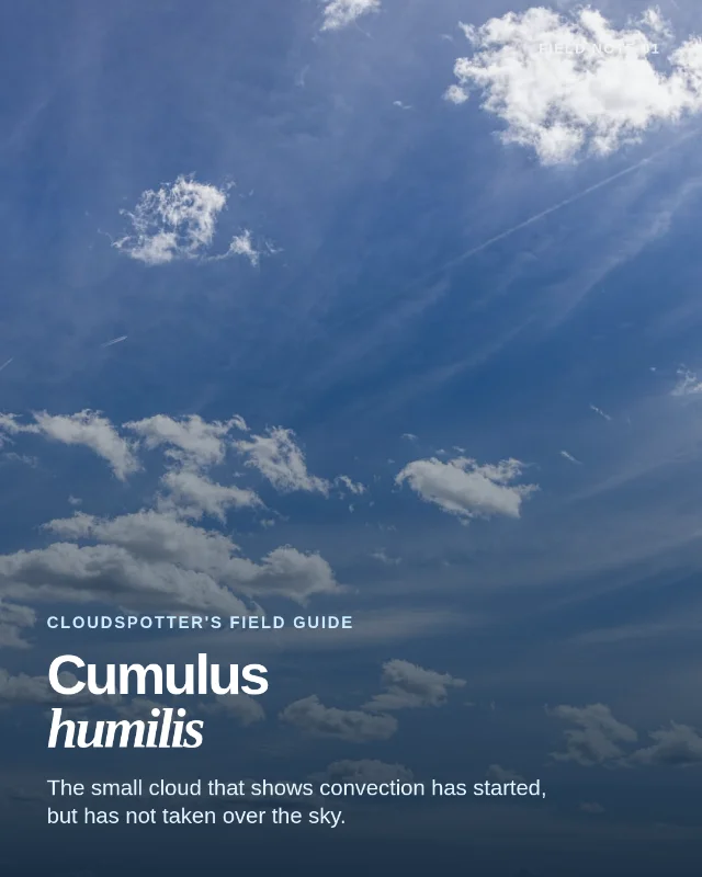 Cumulus humilis: the fair-weather cloud with a limit