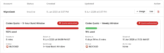 Codex Plus 账号 Usage 面板截图,显示单个 5 小时窗口消耗 16%周配额