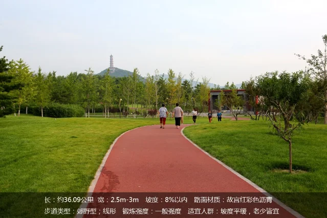三山五园绿道实景路段