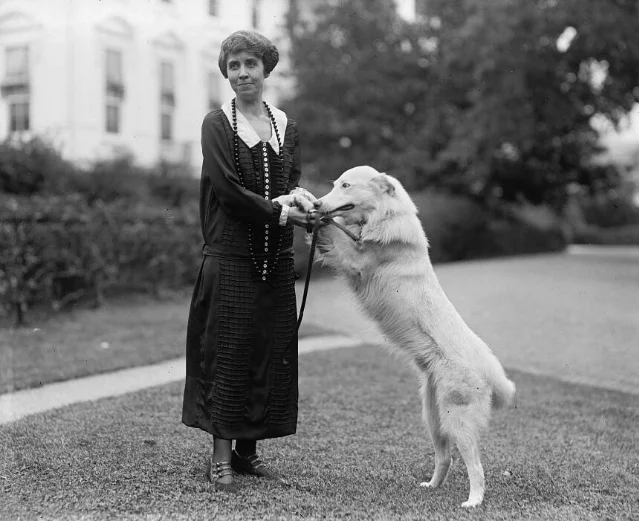 Grace Coolidge standing on a lawn holding the lead of a white collie that is rearing up on its hind legs toward her