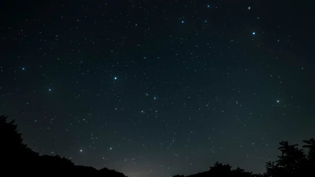 Starry night through trees