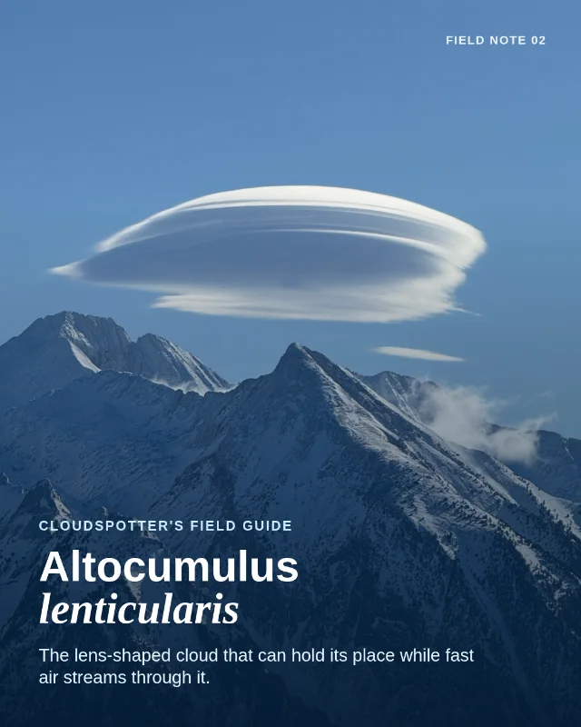 Altocumulus lenticularis: the lens cloud that holds still
