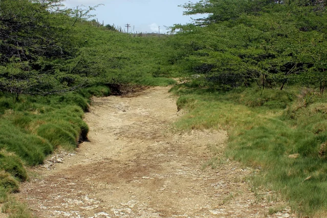 A dry sandy and stony watercourse between green banks of grass and scrub, under a blue sky