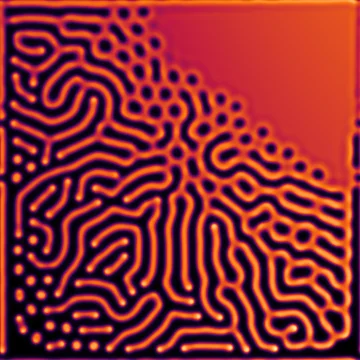 Parameter-space sweep across feed/kill axes showing the full family of Turing patterns in one image