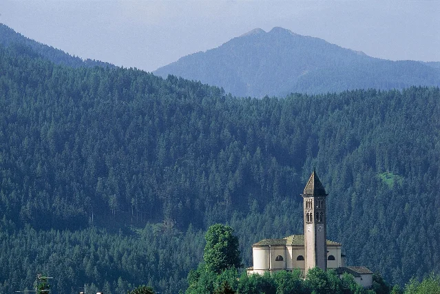 Val di Fiemme forest in the Italian Dolomites, where Stradivari sourced his violin wood