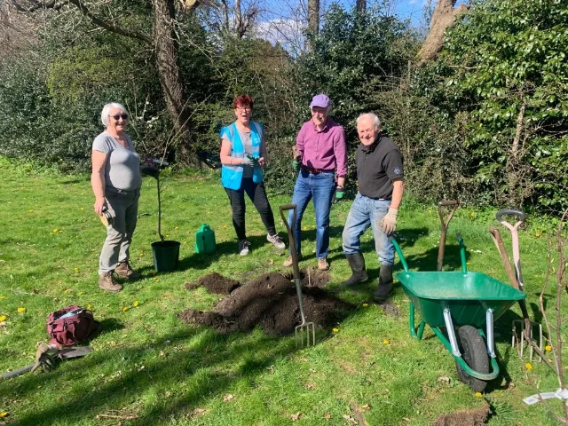 Four volunteers with spades, a watering can and a wheelbarrow around a newly planted sapling on grass