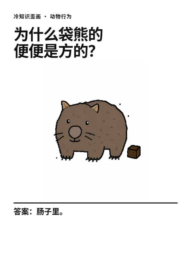 为什么袋熊的便便是方的？