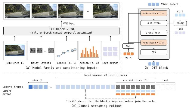 A three-part pipeline diagram: conditioning inputs feeding a 30-block video diffusion transformer, a single DiT block showing PRoPE camera injection and action modulation, and a causal streaming rollout with sink frames and a 20-frame local window