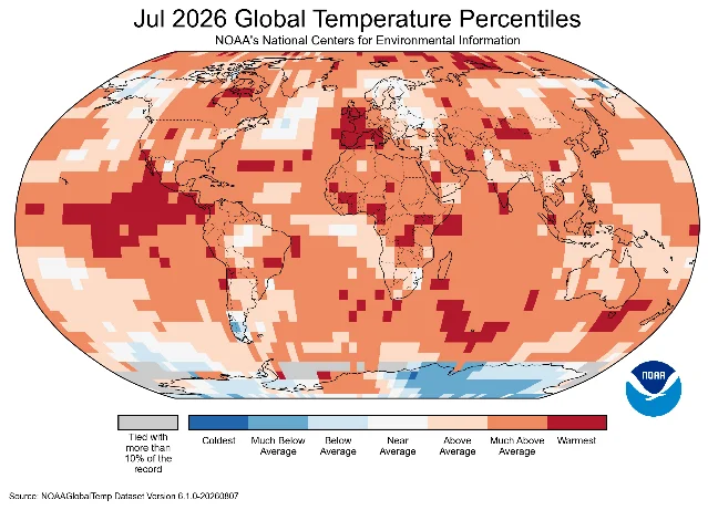 NOAA map of global temperature percentiles for July 2026, with widespread orange and red areas marking unusually warm conditions.
