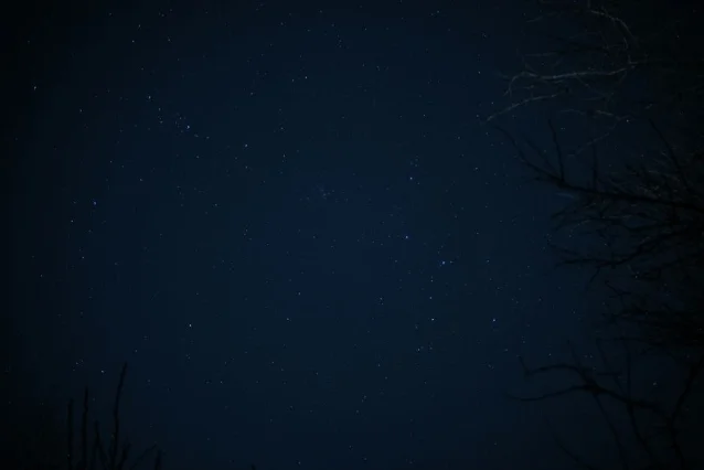 Starry night sky with silhouetted trees — quiet cosmic backdrop for Pisces this week