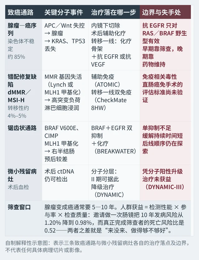 结直肠癌三条致癌通路与微小残留病灶的治疗落点及边界对照表