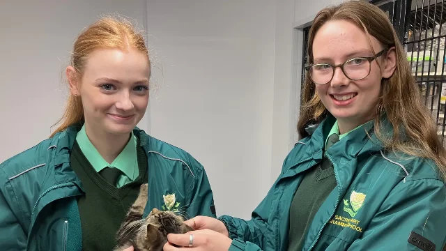 Sacred Heart Grammar School students Clare Reilly and Niamh McAleenan-McQuade holding and stroking a rescue tabby cat inside the USPCA cattery.