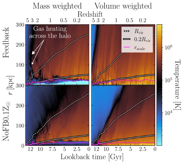 Four panels showing radial temperature profiles over time in mass- and volume-weighted versions, for a run with feedback and one without, with the virial radius tracked as a dotted line