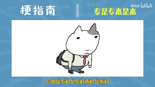 蓝色背景上「梗指南 | 专是专本是本」的标题条,下方白框里一只背着书包、系红领带的卡通猫,底部黄字写着「意思是专科是专科本科是本科」