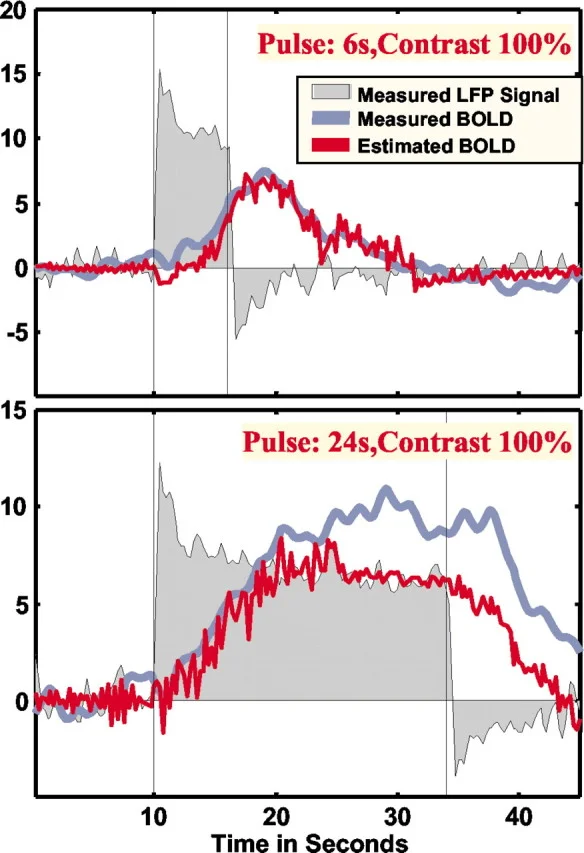 LFP and BOLD comparison