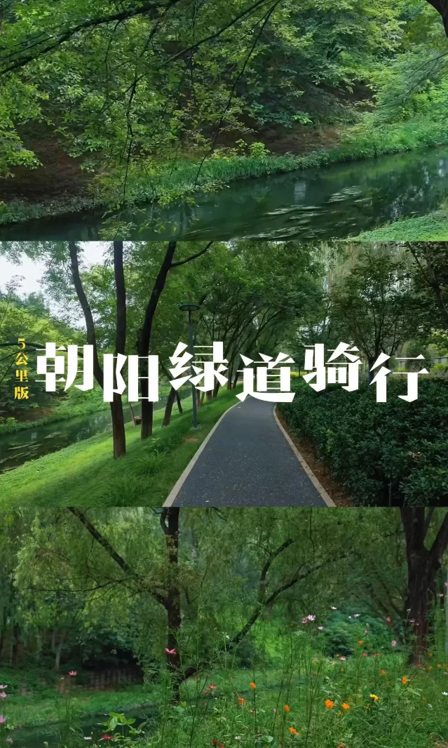 朝阳绿道树荫、水岸与铺装路面