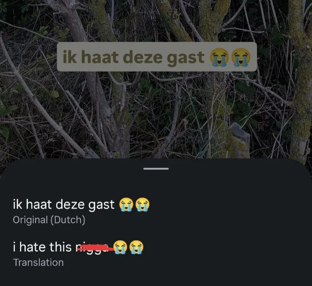 Instagram translation panel showing Dutch "ik haat deze gast" above a redacted English rendering