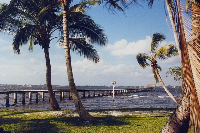Fort Myers, Florida — tropical shoreline with palm trees and a pier extending over clear water