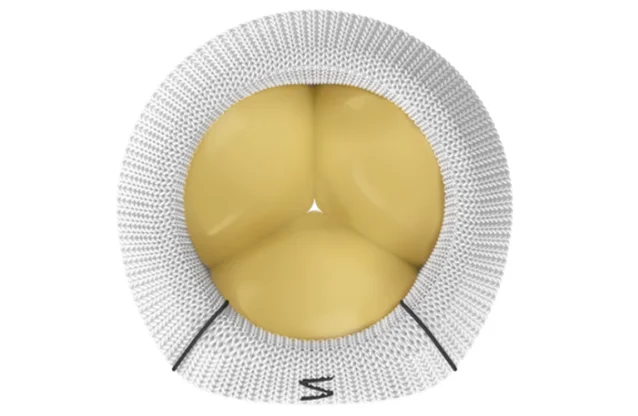 Triformis Resilia sewing band — flat tricuspid-specific profile with black commissure markers visible