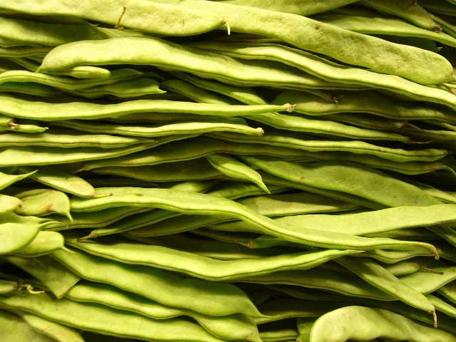 A close-up overhead shot of colorful mixed beans and legumes, representing fiber-rich whole foods
