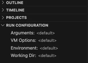 VS Code Explorer sidebar showing the RUN CONFIGURATION panel with Arguments, VM Options, Environment, and Working Dir fields set to default
