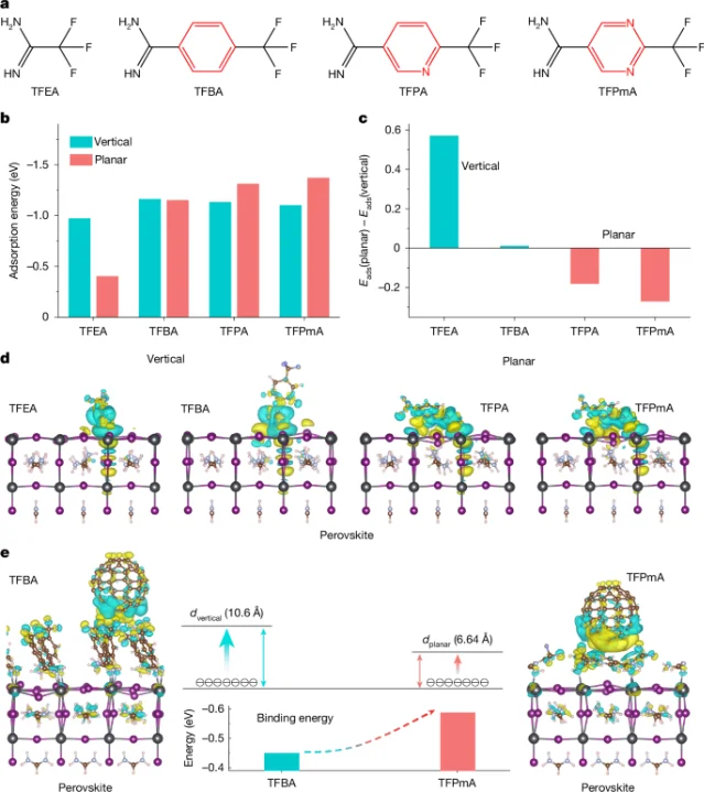 Ligand adsorption topologies showing vertical (TFEA, single Pb coordination) versus planar (TFPmA, dual Pb–N coordination) configurations, with the reduced charge transport distance highlighted