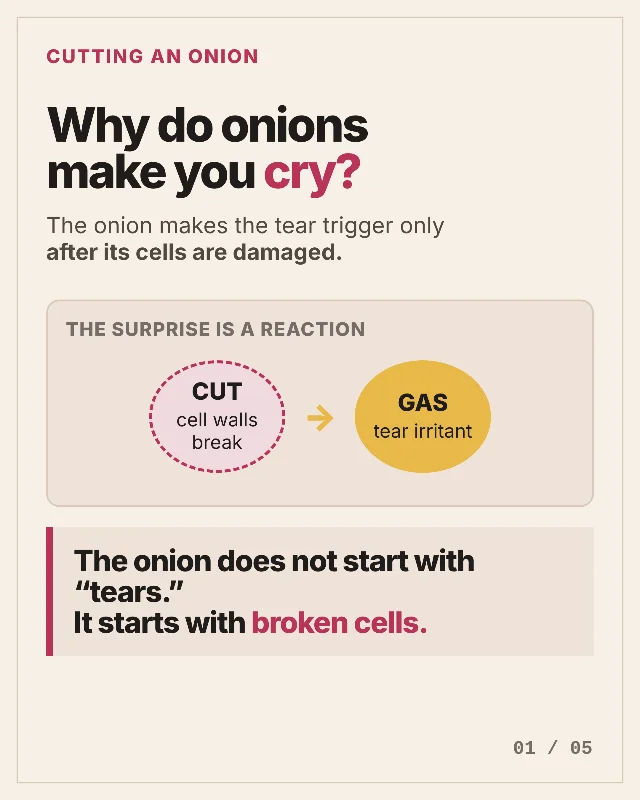Why do onions make you cry?