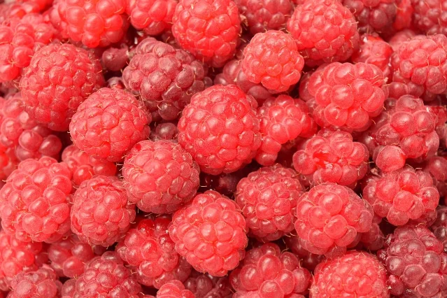 Fresh raspberries
