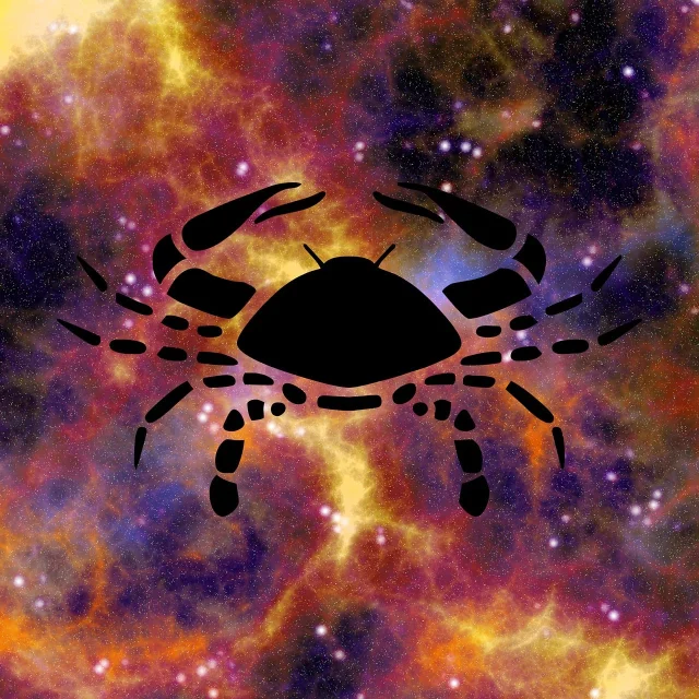 命盘星相图，命理十二地支与神煞体系的天象基础