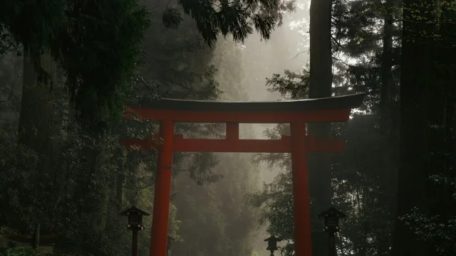 Misty torii gate in forest, Hakone Japan