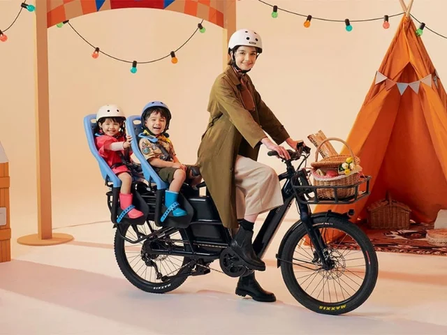 Momentum PakYak E+ cargo eBike