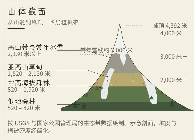 雷尼尔山山体截面示意图