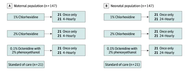 NeoVT-AMR trial schema showing antiseptic application arms and neonate outcome assessment timeline